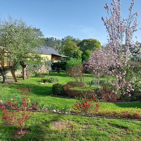 Villa Tini Radebeul Εξωτερικό φωτογραφία