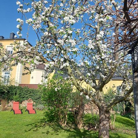 Villa Tini Radebeul Εξωτερικό φωτογραφία