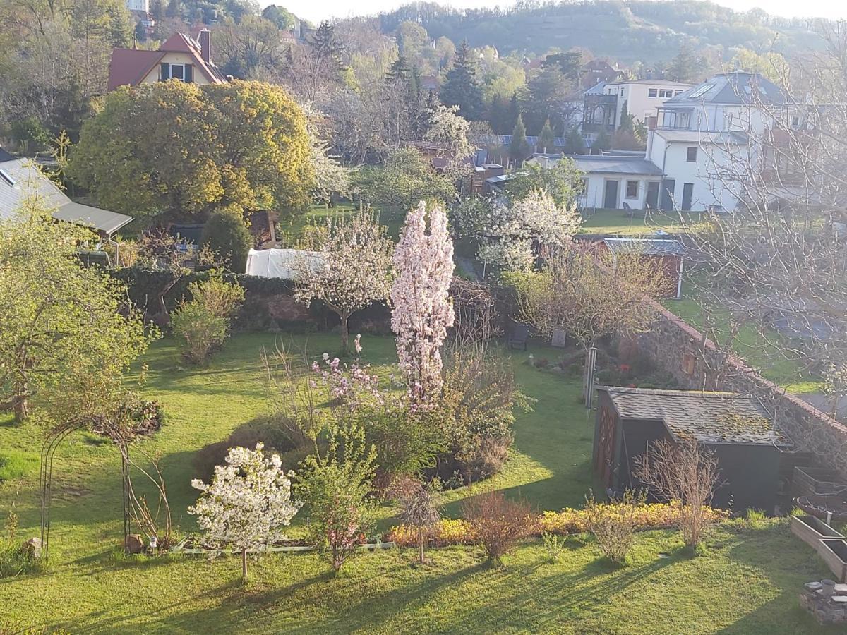 Villa Tini Radebeul Εξωτερικό φωτογραφία