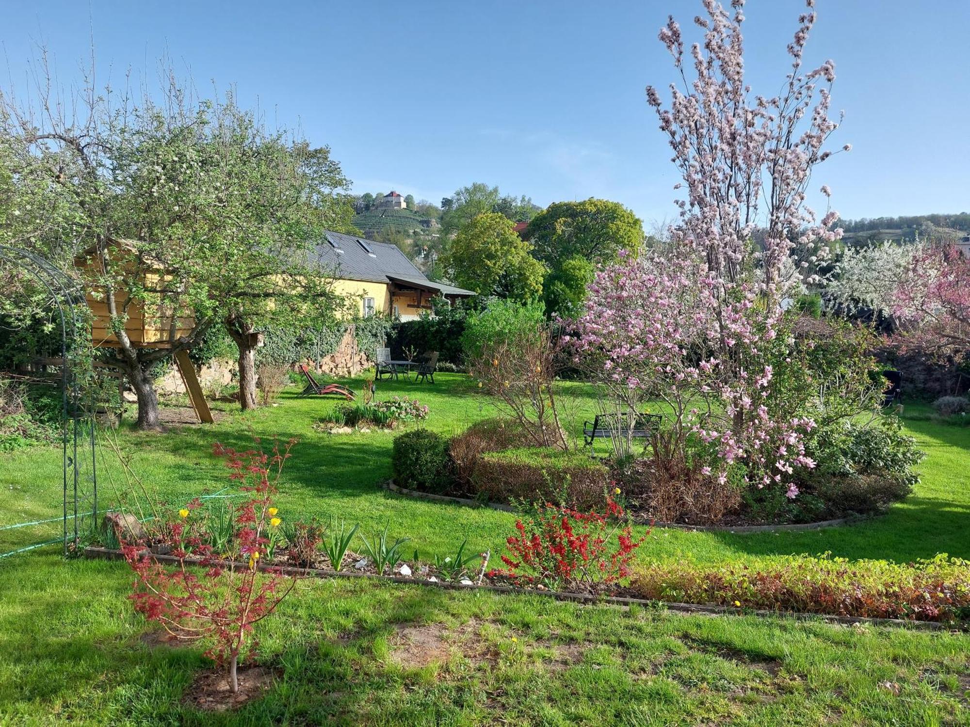 Villa Tini Radebeul Εξωτερικό φωτογραφία