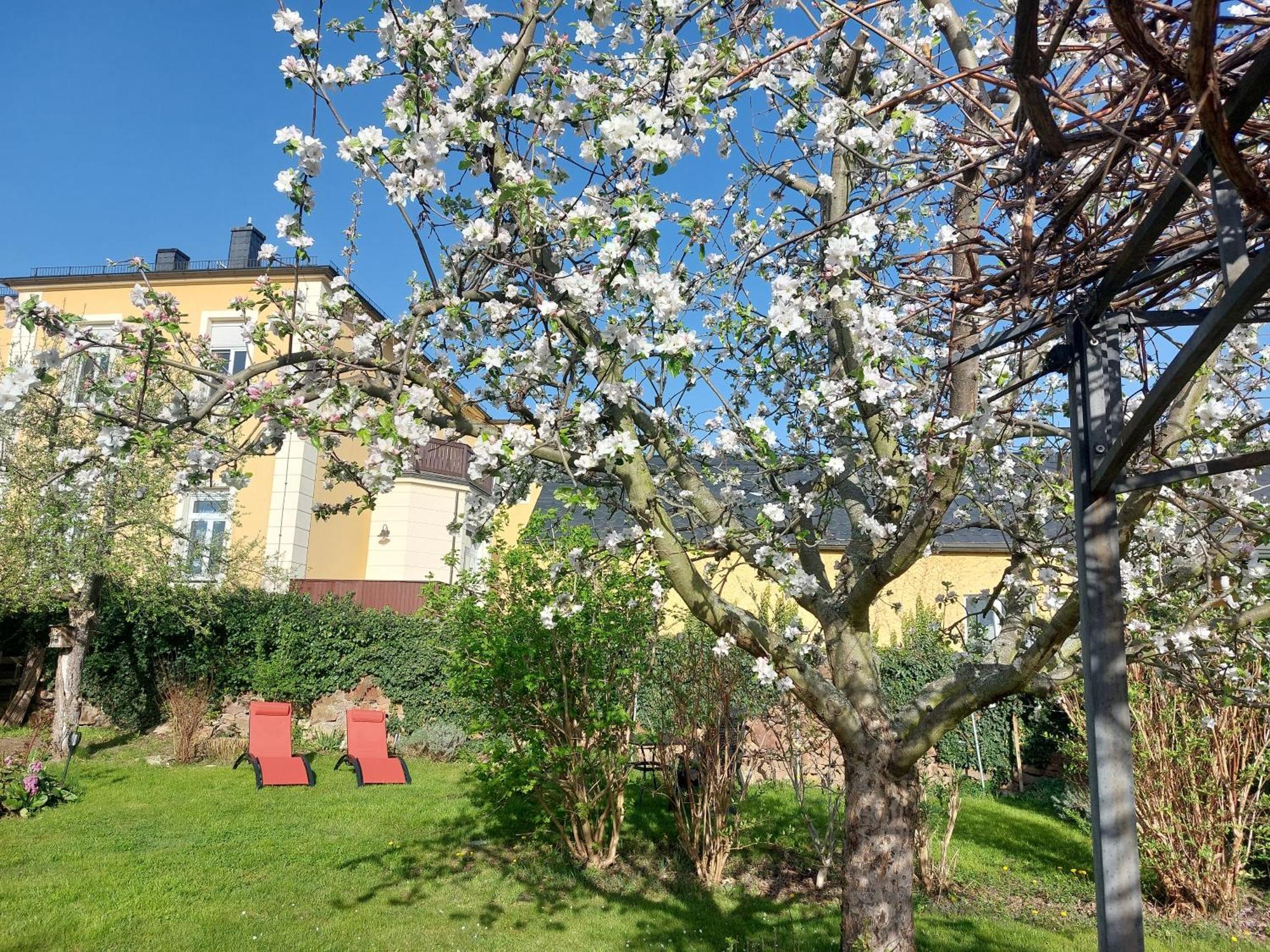 Villa Tini Radebeul Εξωτερικό φωτογραφία